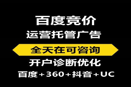 顶级SEM服务公司案例解析