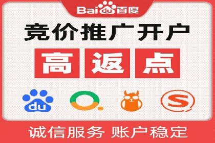 百度推广代运营公司：打造高效的网络营销团队